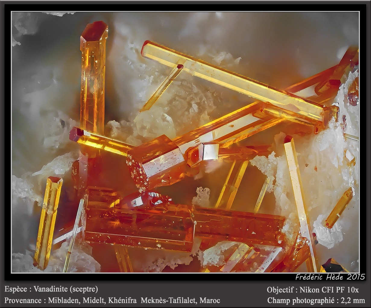Vanadinite
fov 2.2 mm
(Autor: ploum)