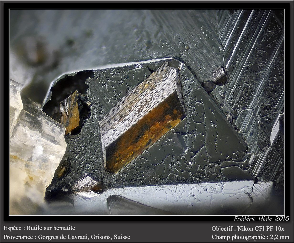 Rutile on Hematite
fov 2.2 mm
(Autor: ploum)