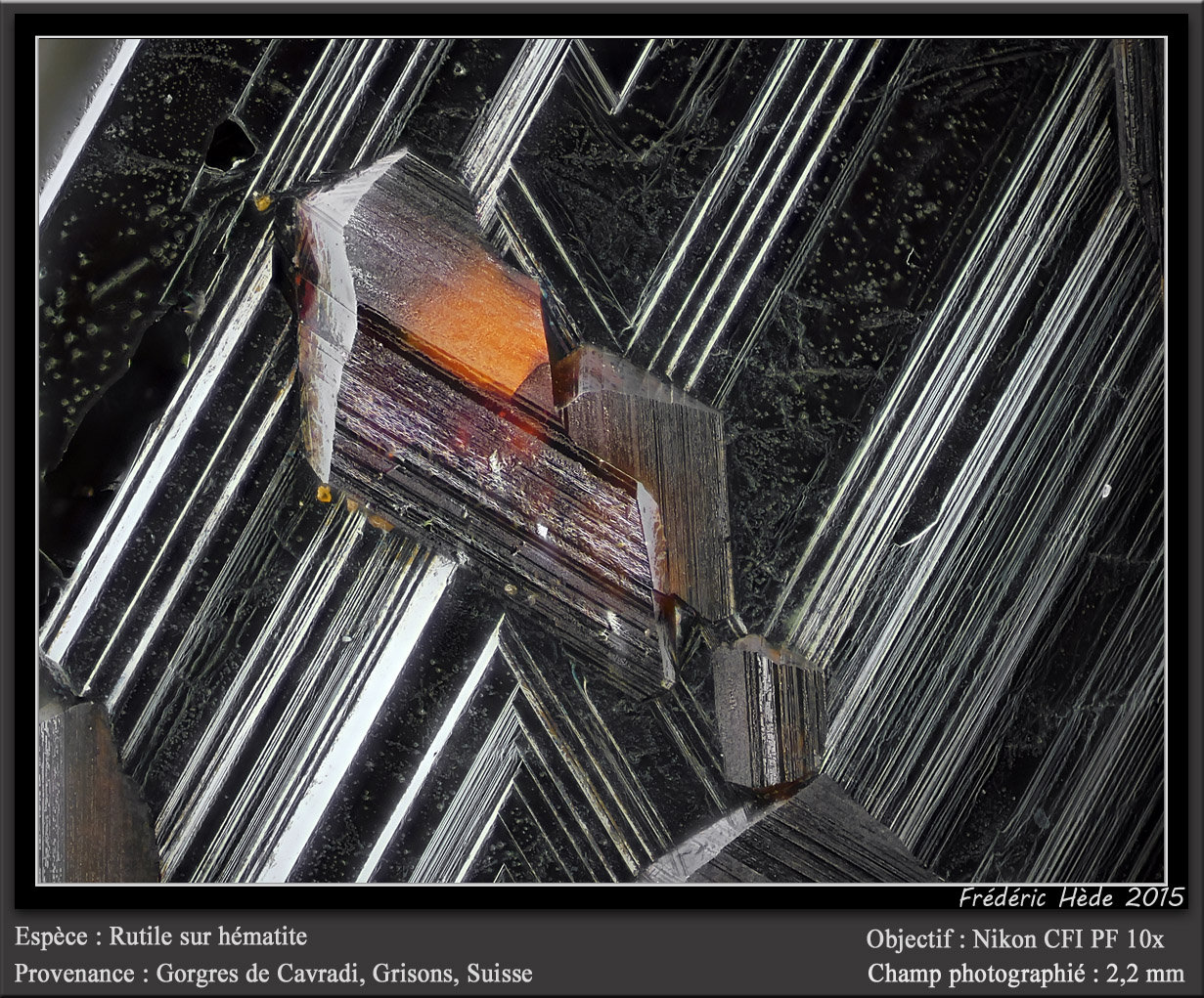 Rutile on Hematite
fov 2.2 mm
(Autor: ploum)