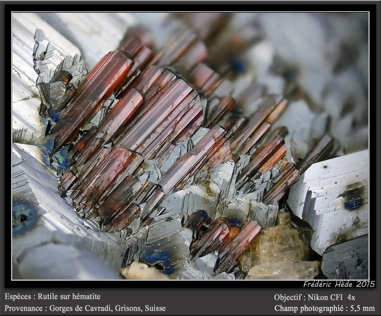 Rutile on Hematite
fov 5.5 mm
(Autor: ploum)