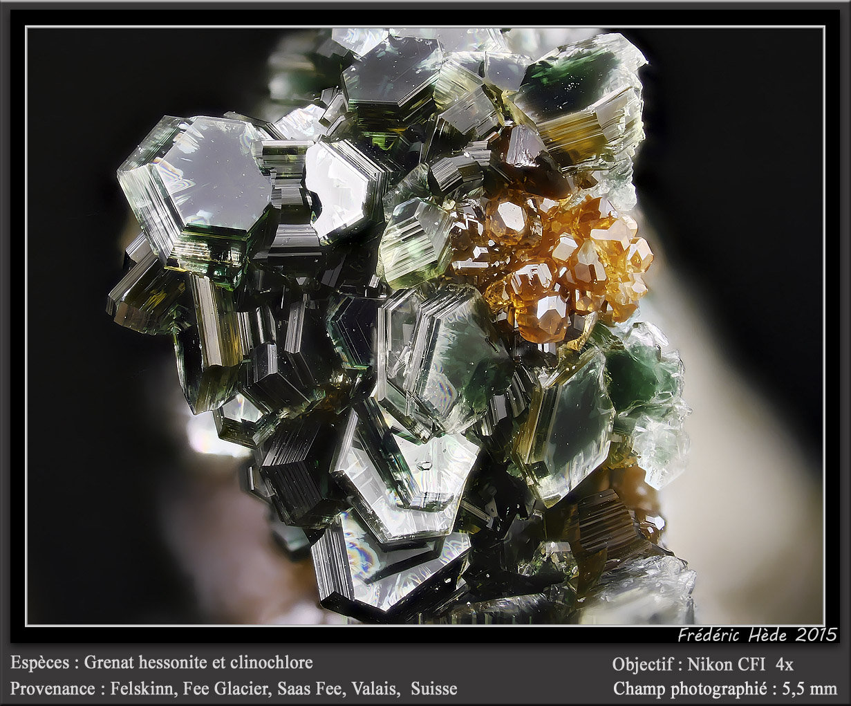 Clinochlore and Grossular (variety hessonite)
fov 5.5 mm
(Autor: ploum)