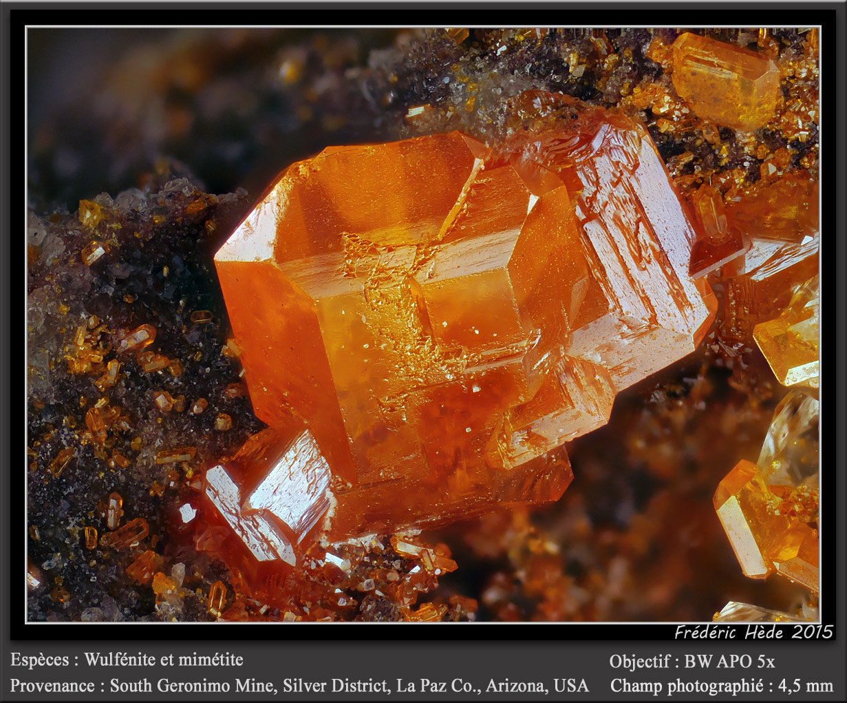 Wulfenite and Mimetite
fov 4.5 mm
(Autor: ploum)