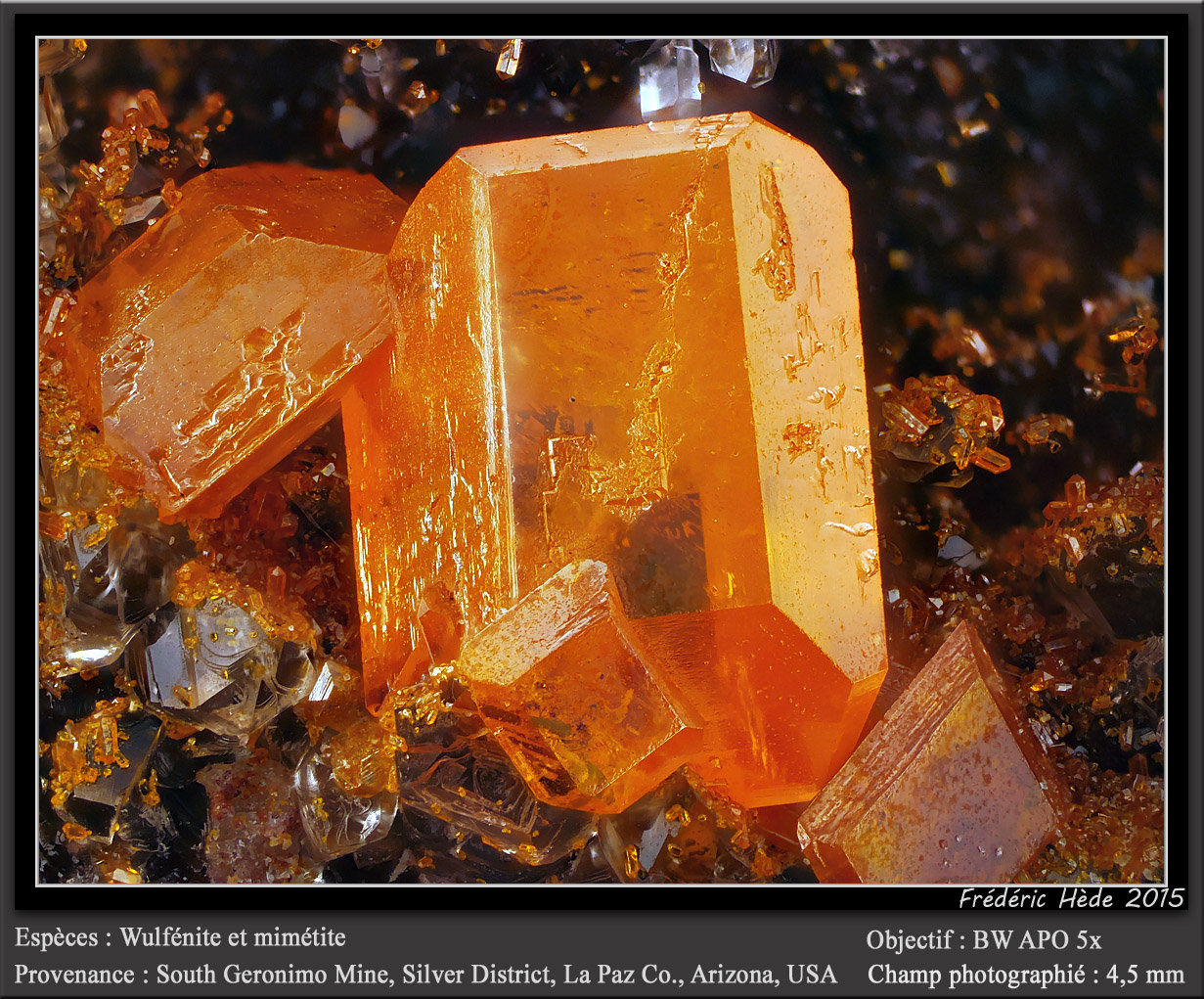 Wulfenite and Mimetite
fov 4.5 mm
(Autor: ploum)