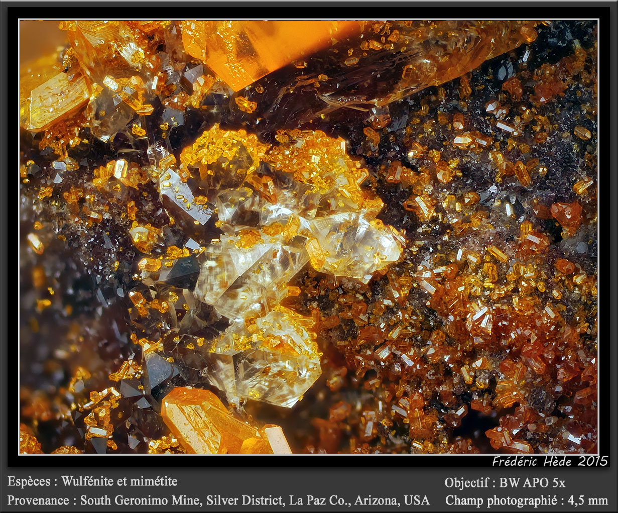 Wulfenite and Mimetite on Quartz
fov 4.5 mm
(Autor: ploum)