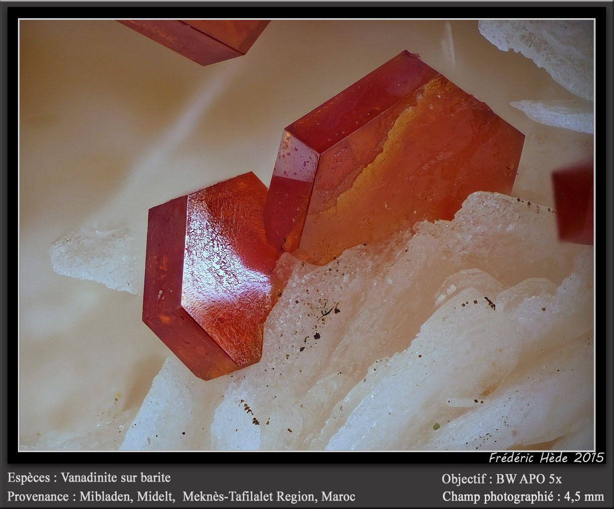 Vanadinite on Barite
fov 4.5 mm
(Autor: ploum)