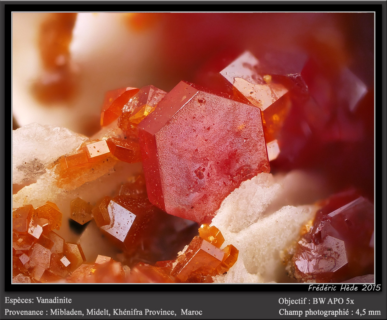 Vanadinite on Barite
fov 4.5 mm
(Autor: ploum)
