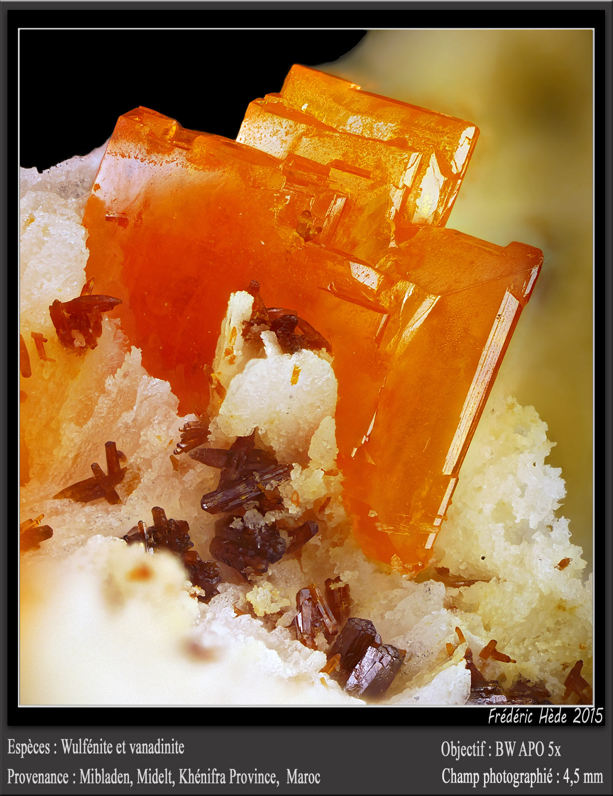 Wulfenite and Vanadinite
fov 4.5 mm
(Autor: ploum)