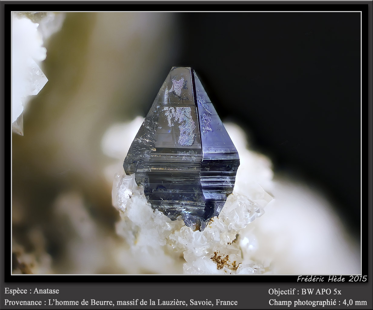 Anatase
fov 4 mm
(Autor: ploum)