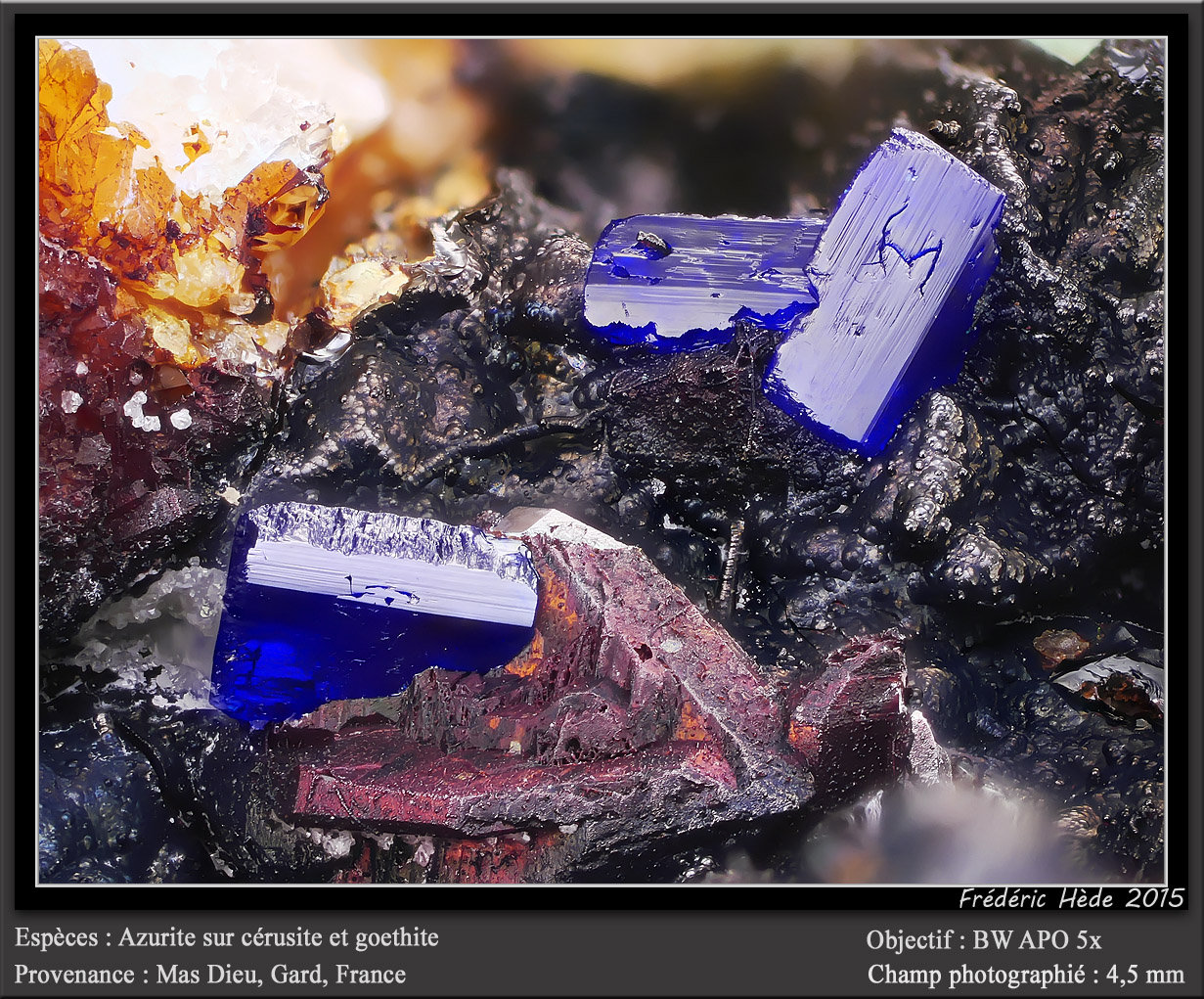 Azurite on Cerusite and Goethite
fov 4.5 mm
(Autor: ploum)