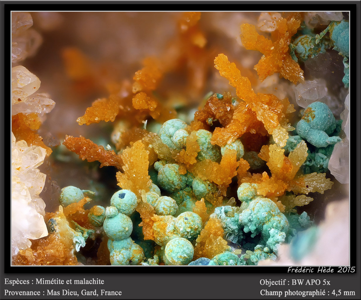 Mimetite and Malachite
fov 4.5 mm
(Autor: ploum)