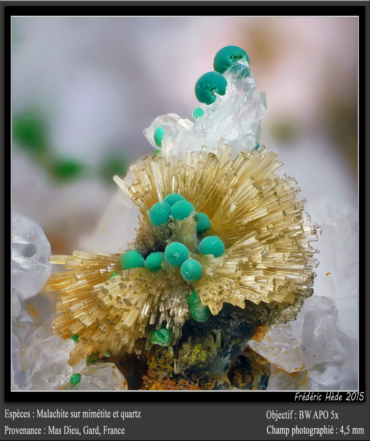 Mimetite, Malachite and Quartz
fov 4.5 mm
(Autor: ploum)