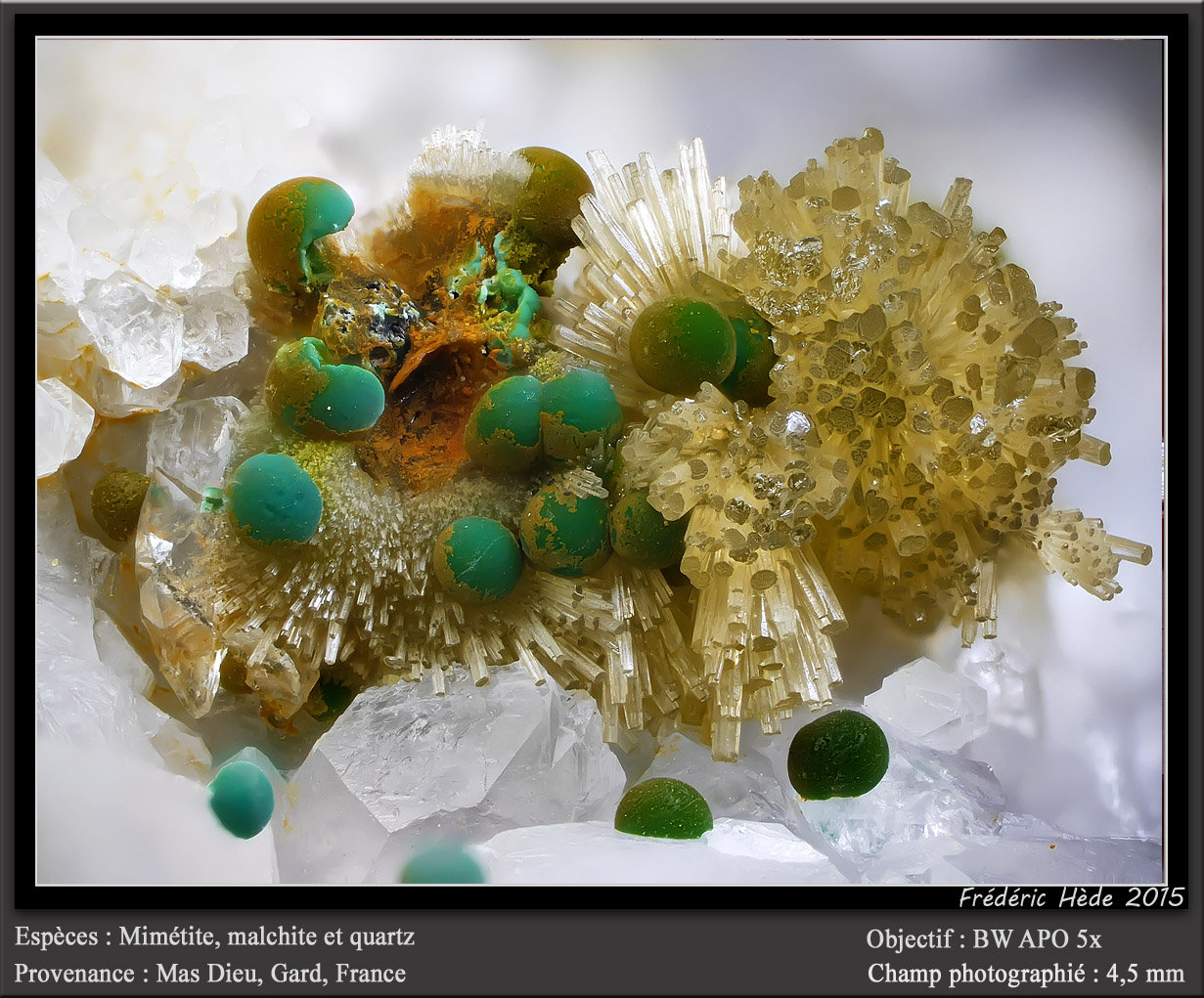 Mimetite, Malachite and Quartz
Fov 4.5 mm
(Autor: ploum)