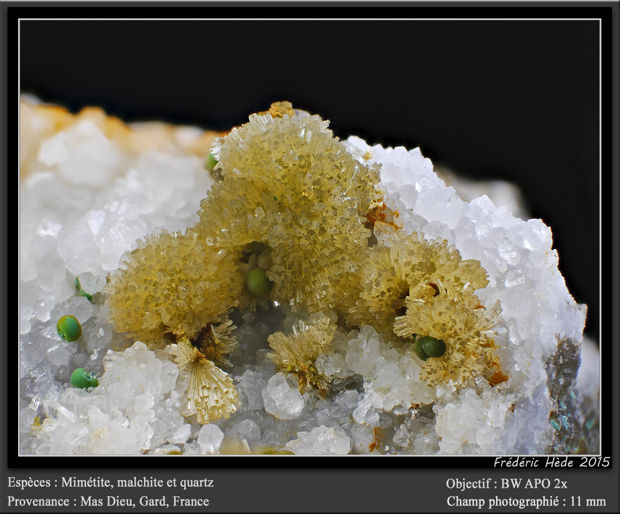 Mimetite, Malachite and Quartz
fov 11 mm
(Autor: ploum)