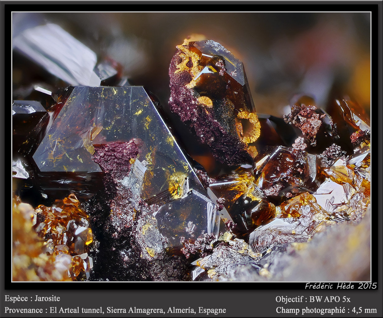 Jarosite
fov 4.5 mm
(Autor: ploum)
