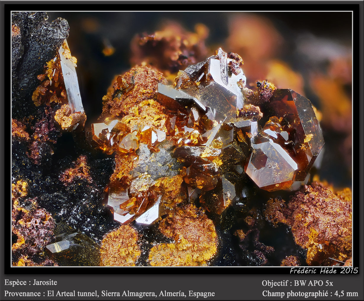 Jarosite
fov 4.5 mm
(Autor: ploum)