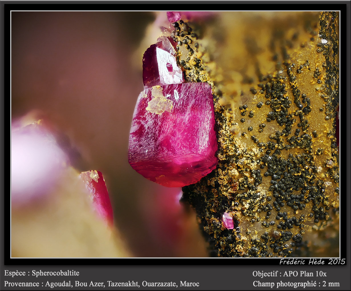 Spherocobaltite
fov 2 mm
(Autor: ploum)