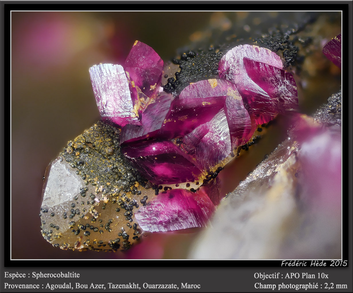 Spherocobaltite on Quartz
fov 2.2 mm
(Autor: ploum)