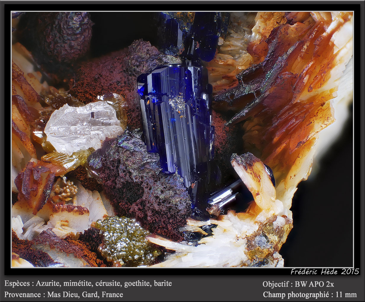 Azurite, Cerussite, Mimetite, Goethite, Barite
fov 11 mm
(Autor: ploum)
