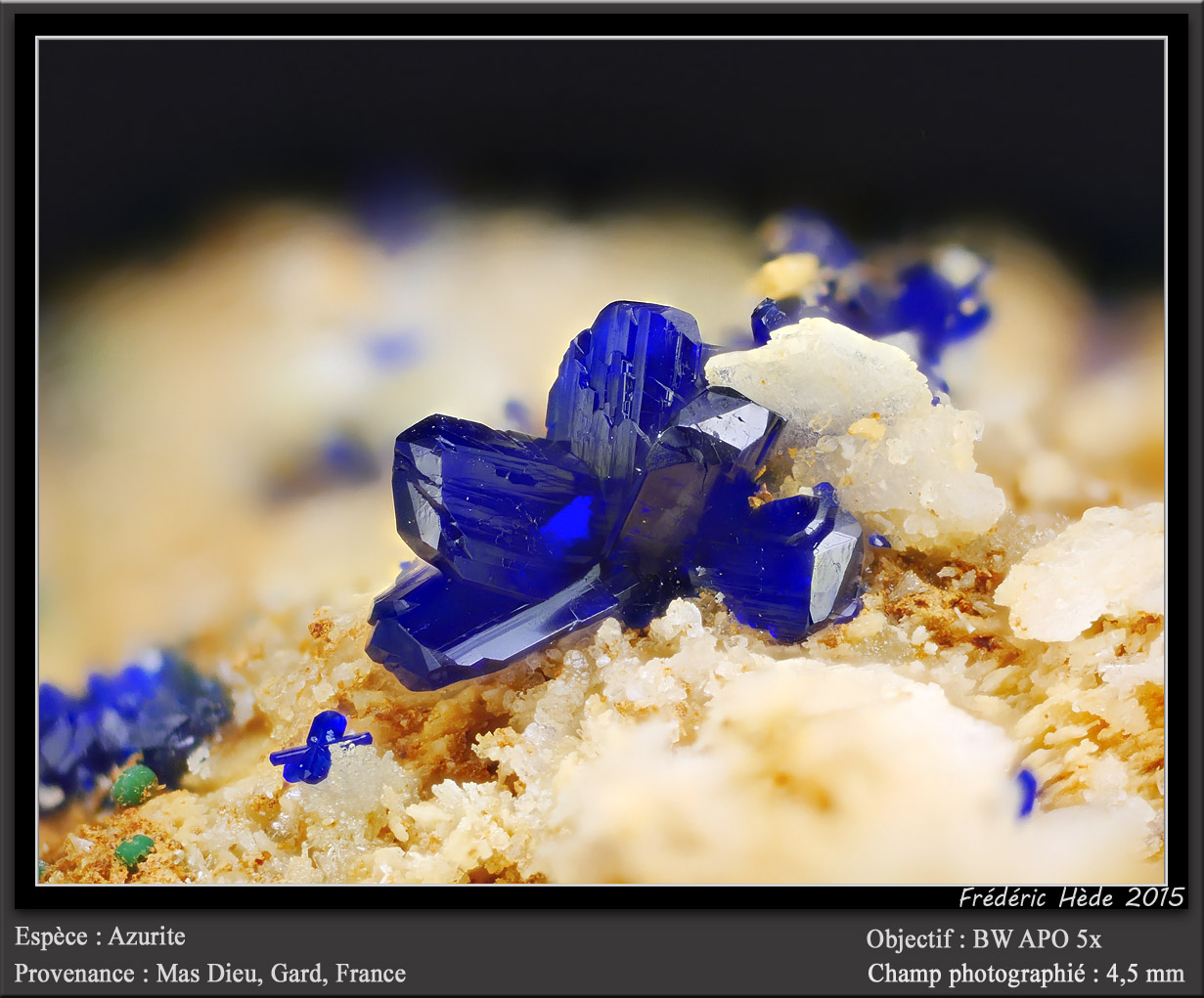 Azurite
fov 4.5 mm
(Autor: ploum)