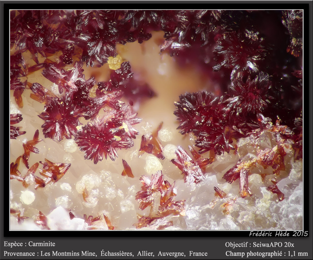 Carminite
fov 1.1 mm
(Autor: ploum)