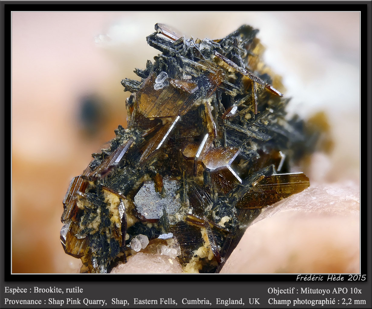 Brookite and Rutile
fov 2.2 mm
(Autor: ploum)