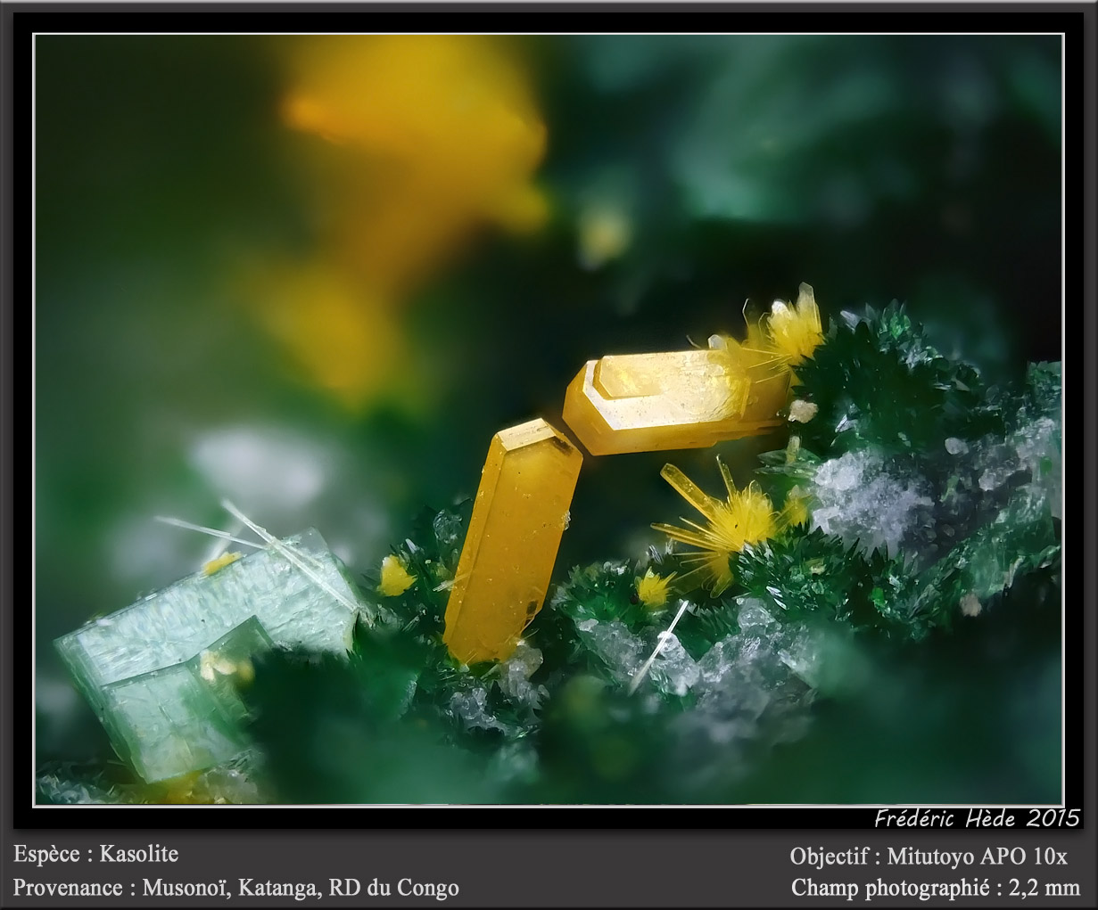 Kasolite with Malachite and Torbernite
fov 2.2 mm
(Autor: ploum)
