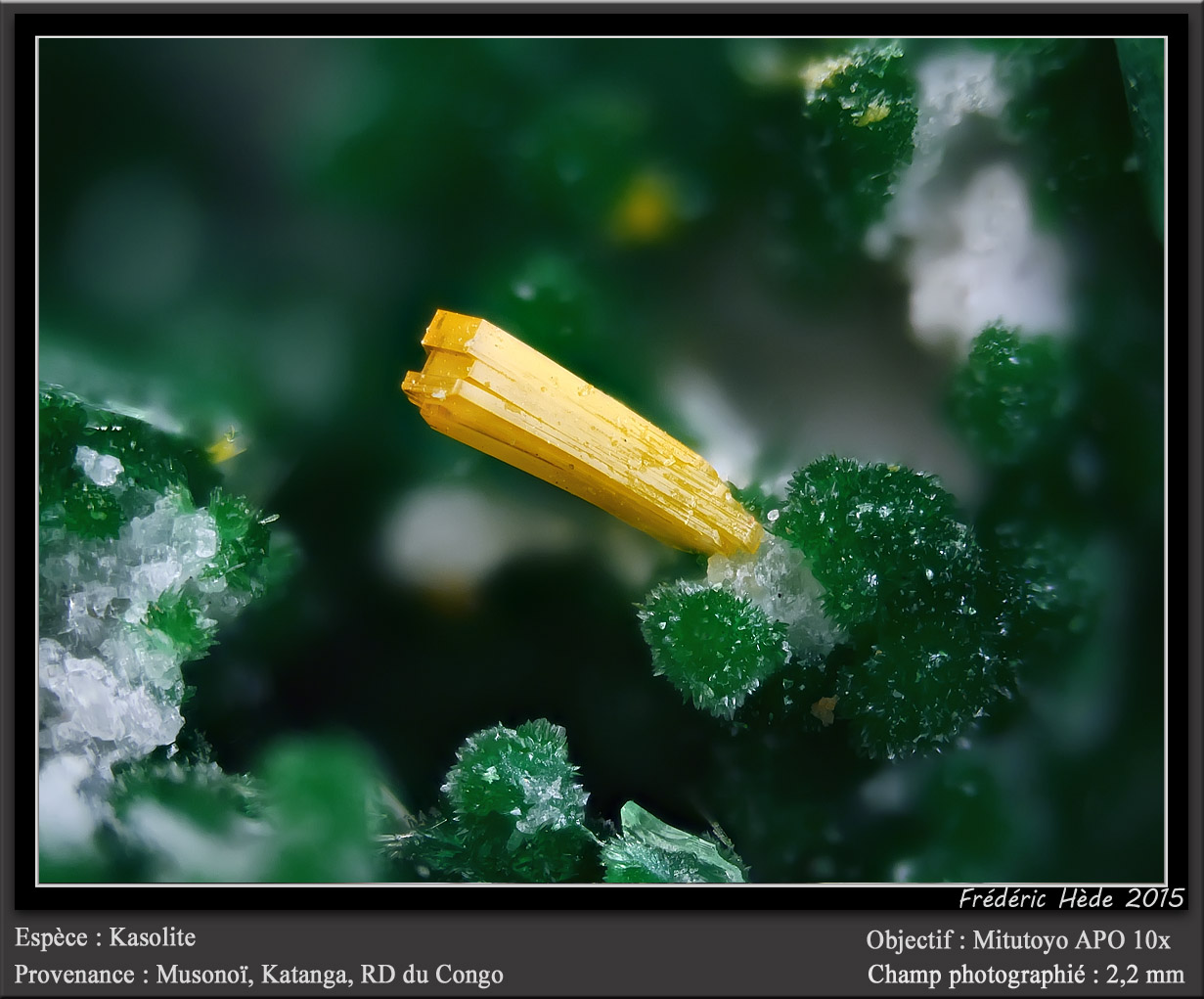 Kasolite and Malachite
fov 2.2 mm
(Autor: ploum)