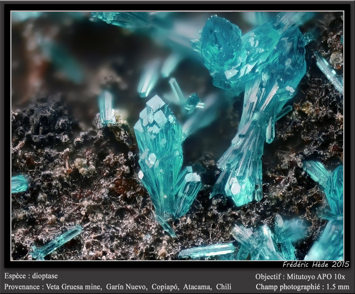 Dioptase
fov 1.5 mm
(Autor: ploum)
