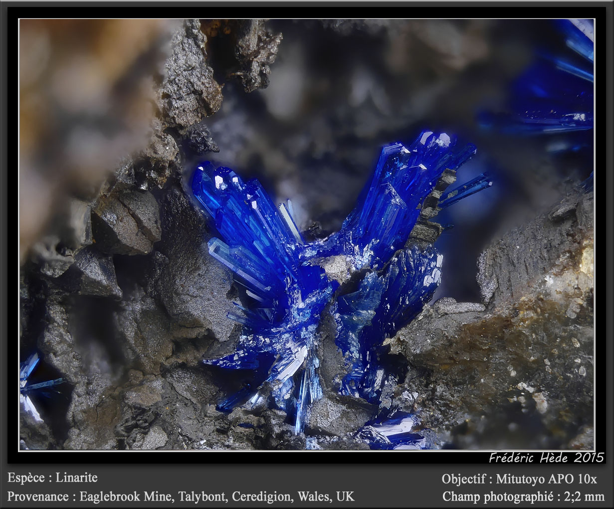 Linarite
fov 2.2 mm
(Autor: ploum)