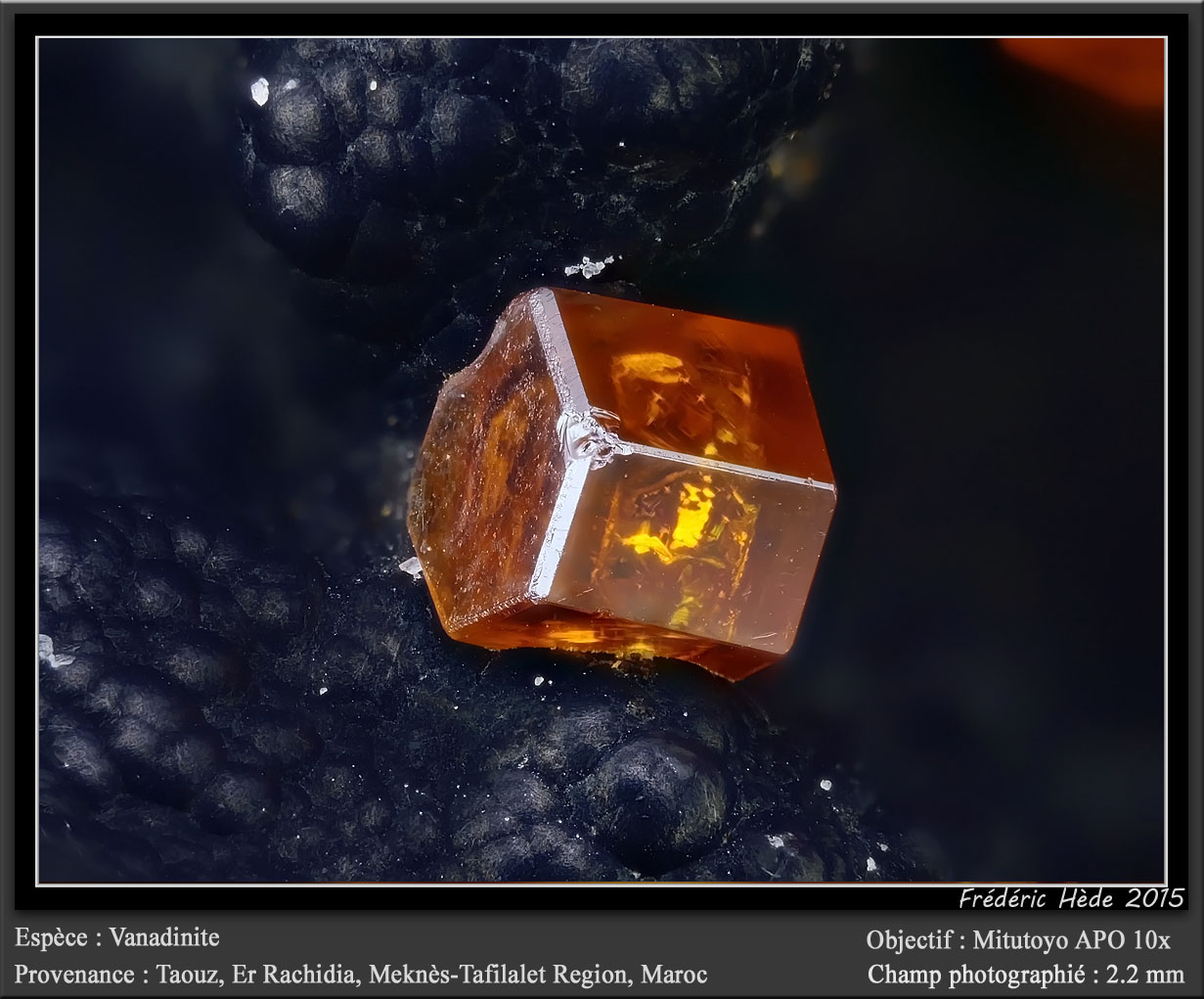 Vanadinite
fov 2.2 mm
(Autor: ploum)