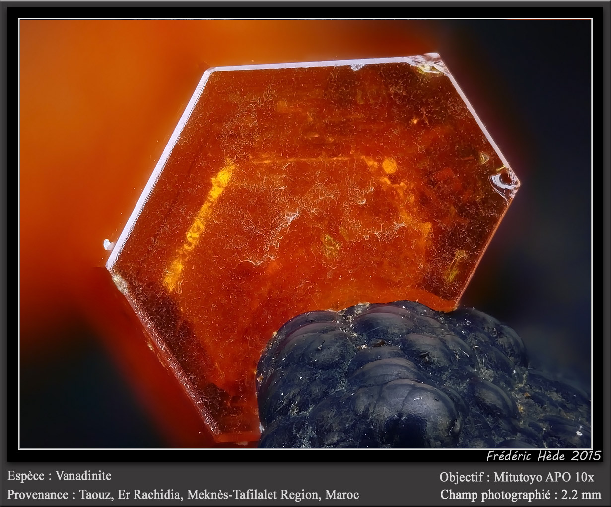 Vanadinite
fov 2.2 mm
(Autor: ploum)