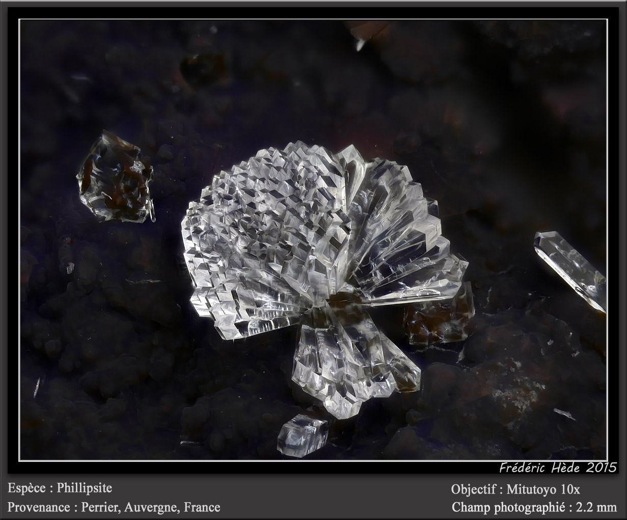 Phillipsite
fov 2.2 mm
(Autor: ploum)