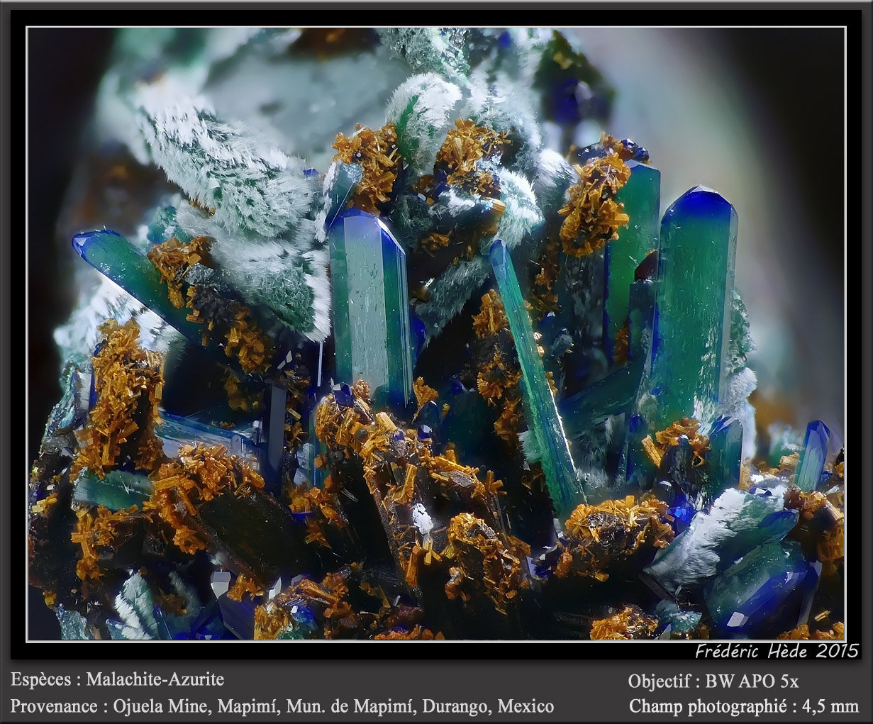 Malachite after azurite
fov 4.5 mm
(Autor: ploum)