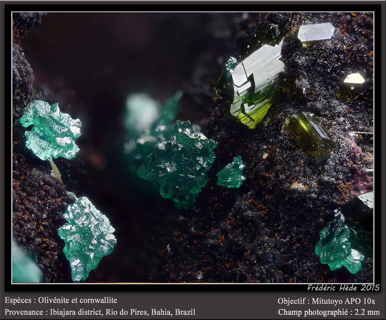 Olivenite and Cornwallite
fov 2.2 mm
(Autor: ploum)