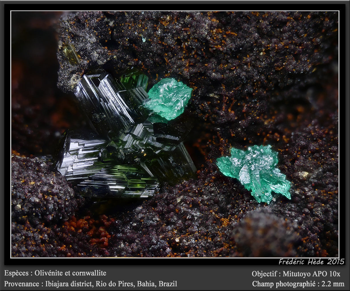 Olivenite and Cornwallite
fov 2.2 mm
(Autor: ploum)