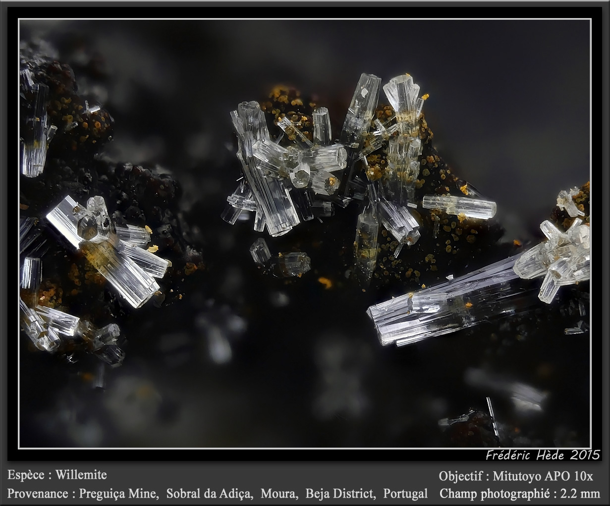 Willemite
fov 2.2 mm
(Autor: ploum)