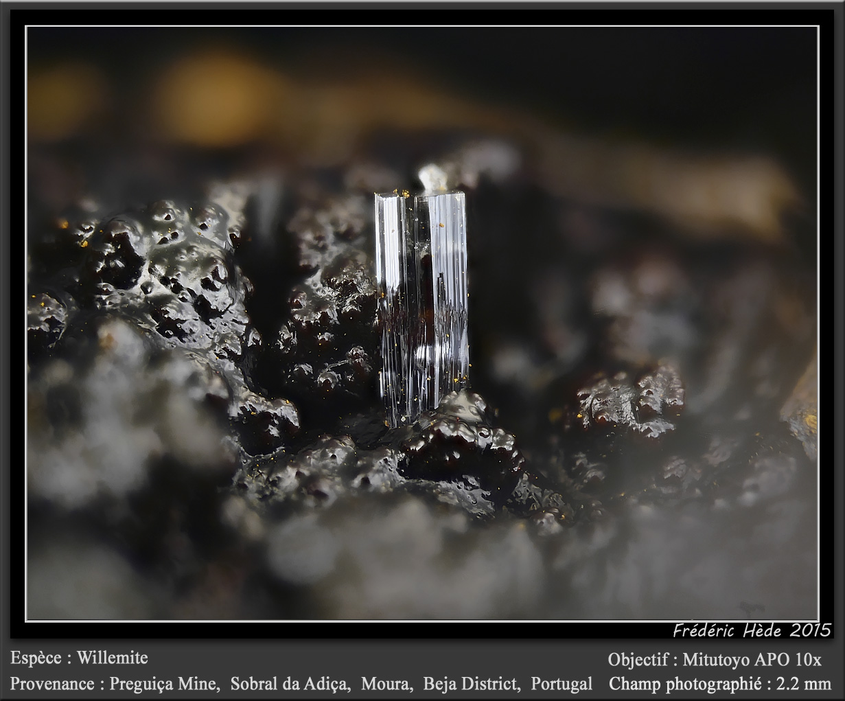 Willemite
fov 2.2 mm
(Autor: ploum)