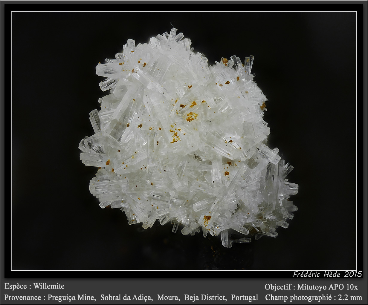 Willemite
fov 2.2 mm
(Autor: ploum)