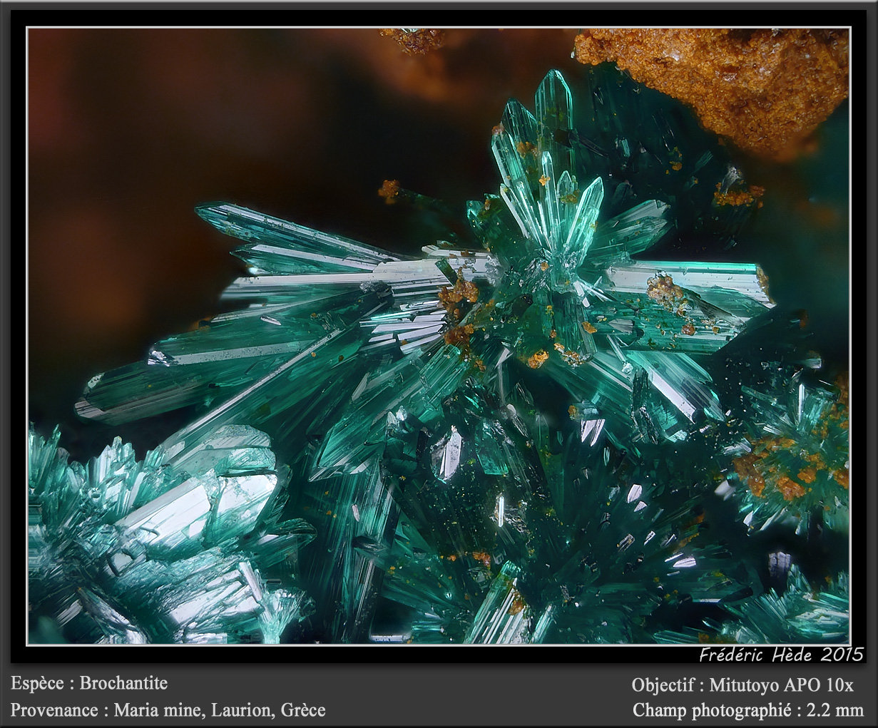 Brochantite
fov 2.2 mm
(Autor: ploum)