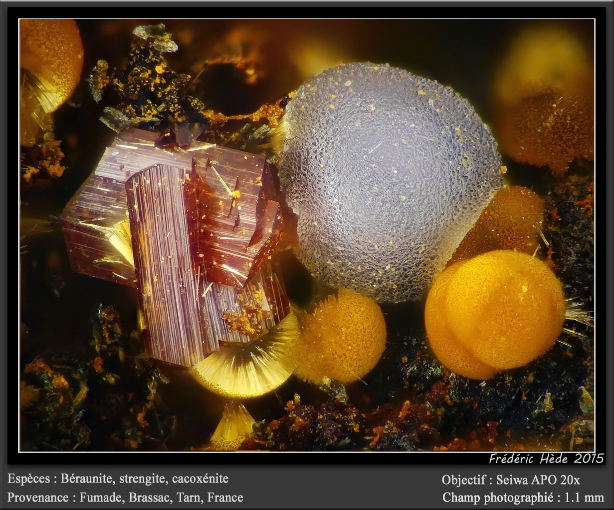Beraunite, Strengite and Cacoxenite
fov 1.1 mm
(Autor: ploum)