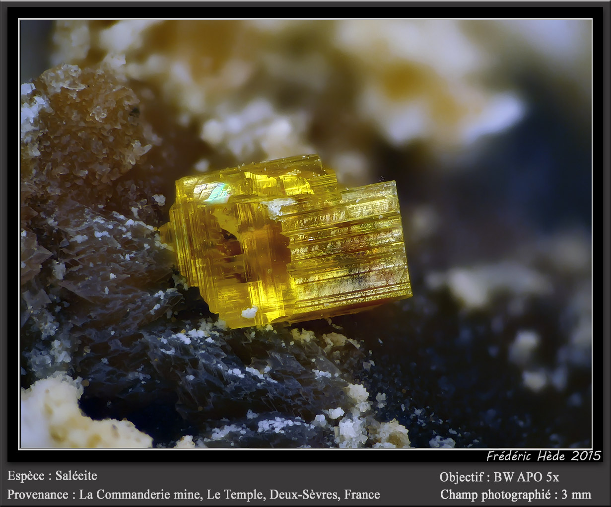 Saléeite
fov 3 mm
(Autor: ploum)