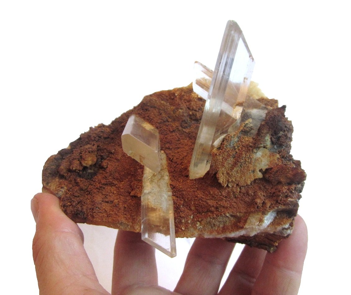 Gypsum
Specimen size 13 x 8 cm, largest crystal 7 cm
(Autor: Tobi)