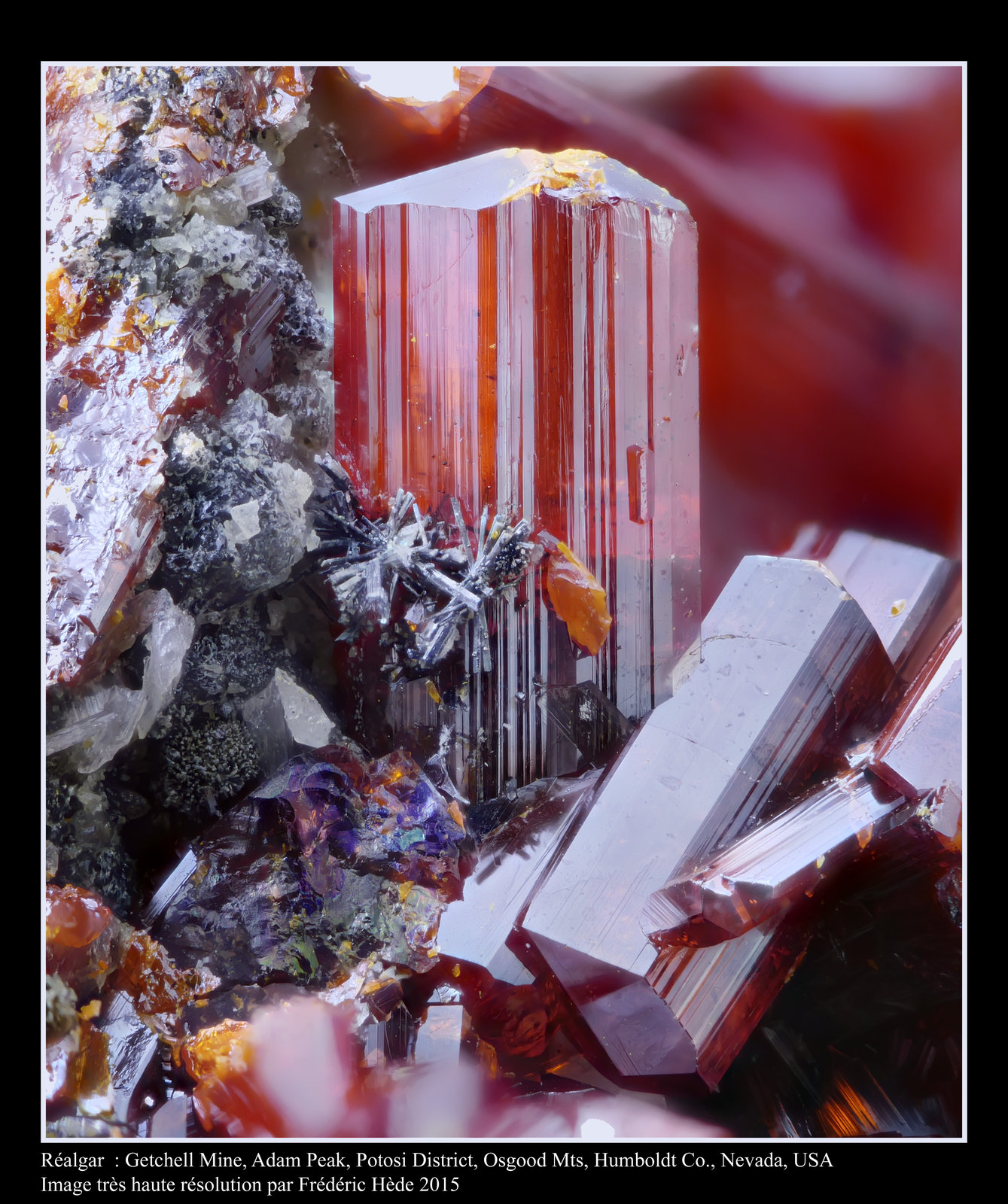 Realgar and Stibnite
fov 3.5 mm
(Autor: ploum)