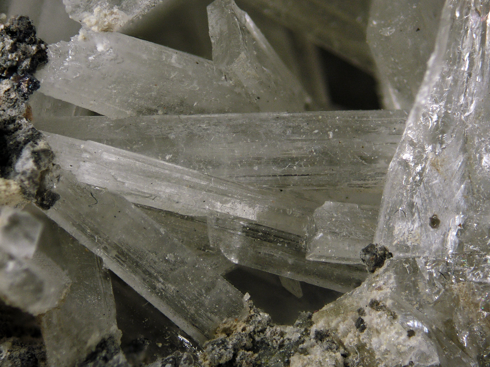 Olshanskyite
FOV 1.5 cm
(Autor: Cesar M. Salvan)