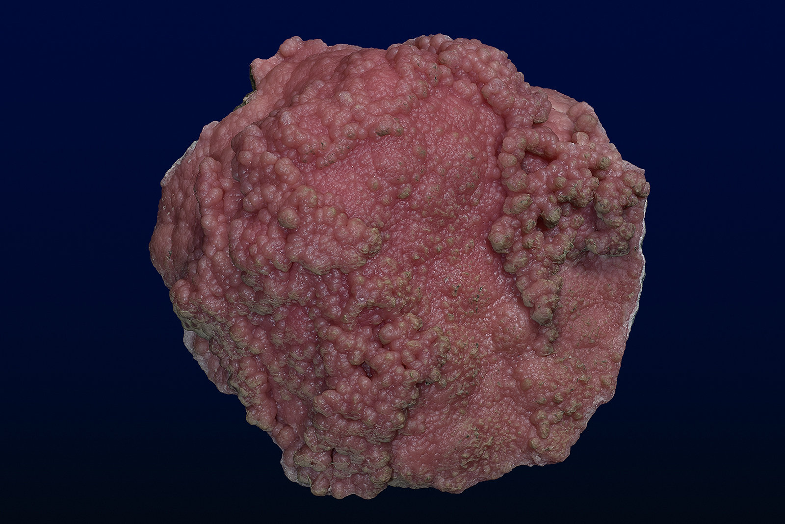 Rhodochrosite
16.3 x 14.5 cm
(Autor: am mizunaka)