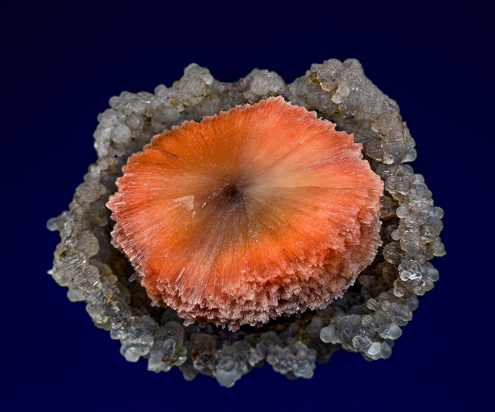 Scolecite, Quartz (var. chalcedony)
4.8 x 4.2 cm
(Autor: am mizunaka)