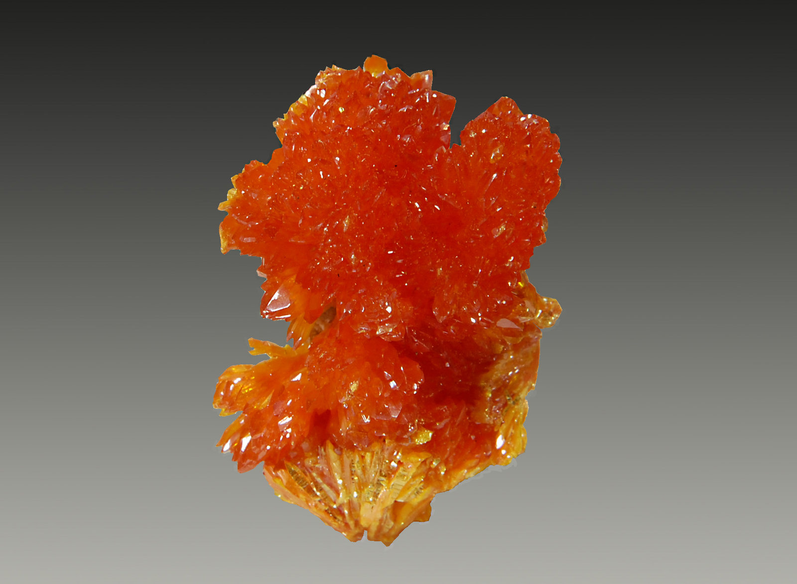 Orpiment
1.7 x 2.8 cm
(Autor: Michael Shaw)