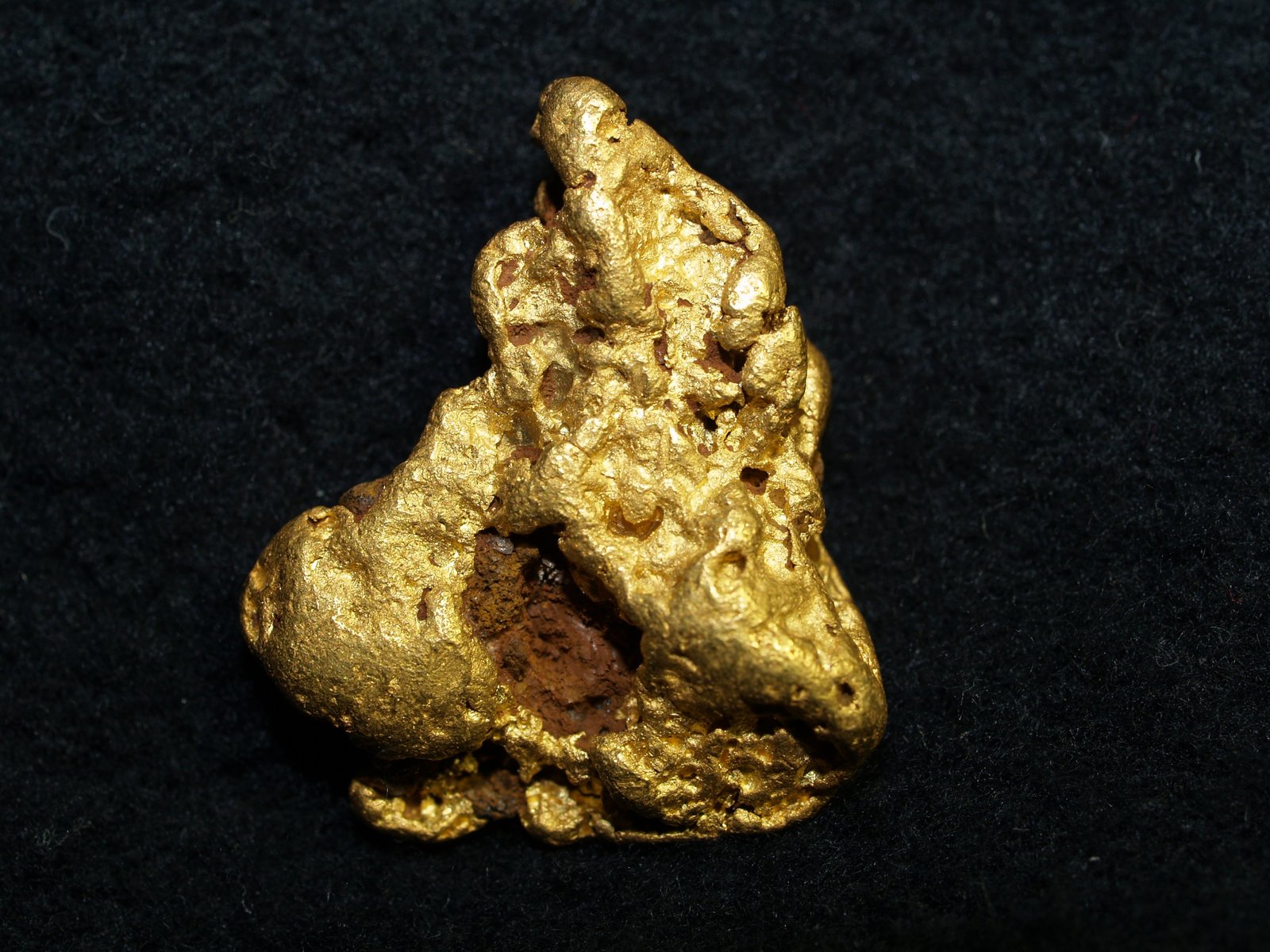 Gold
2.2x1.8x.5 cm's
(Autor: Joseph DOliveira)