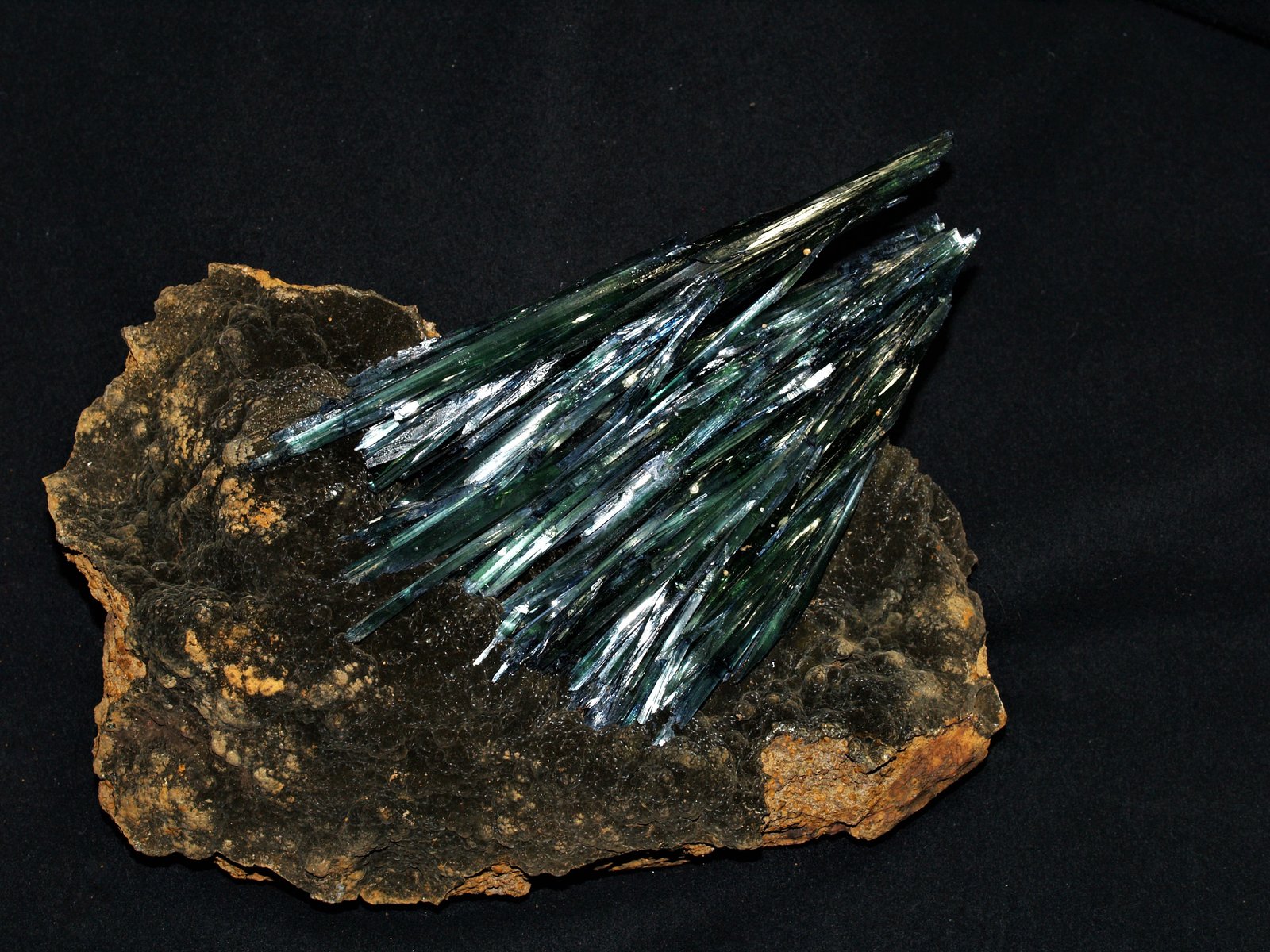 Vivianite
21x23x4 cm's
(Autor: Joseph DOliveira)