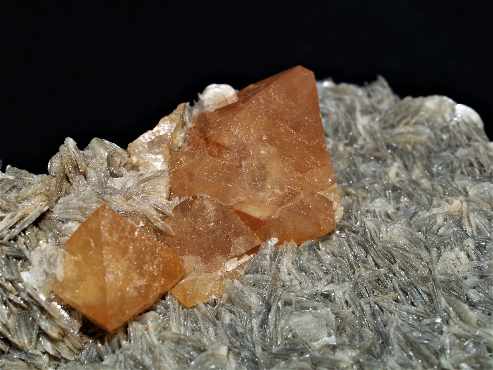 Scheelite
(Autor: Joseph DOliveira)